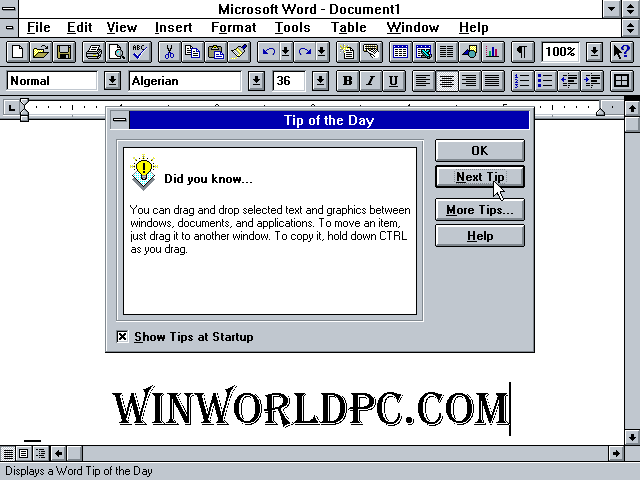 microsoft wordfor windows